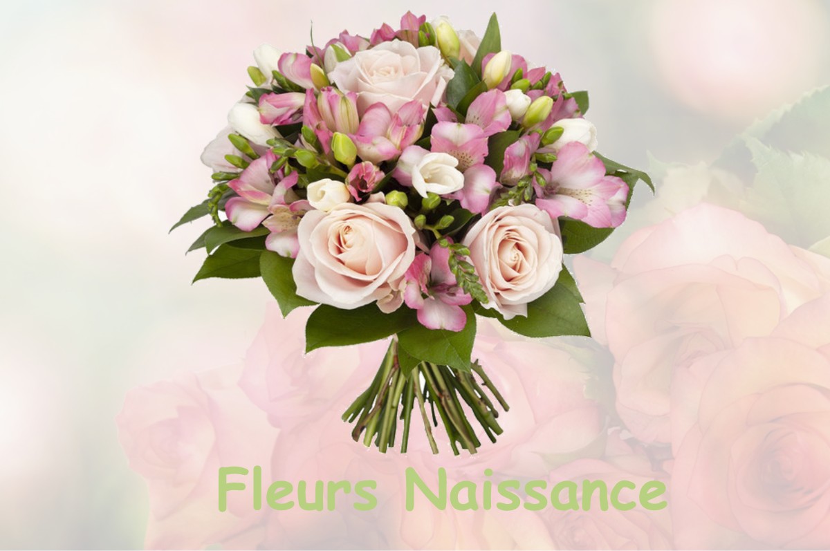 fleurs naissance PRETIN