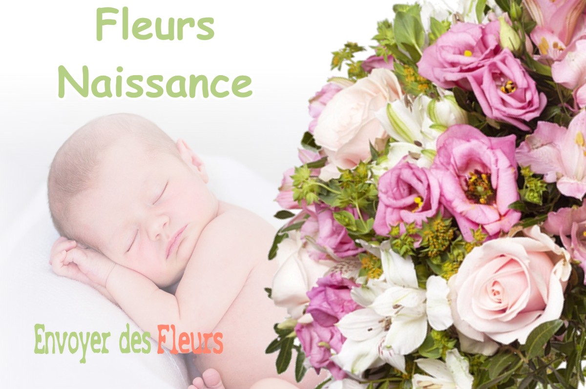 lIVRAISON FLEURS NAISSANCE à PRETIN